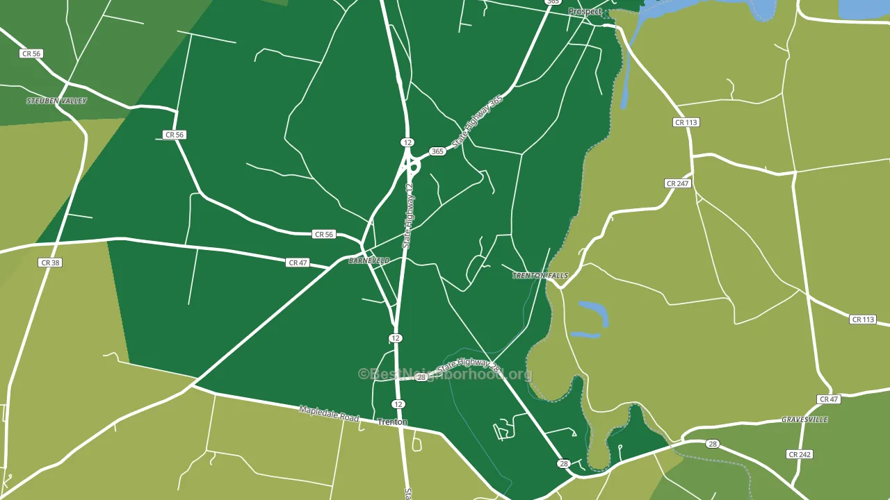 Trenton Falls, NY block-group voter-turnout map