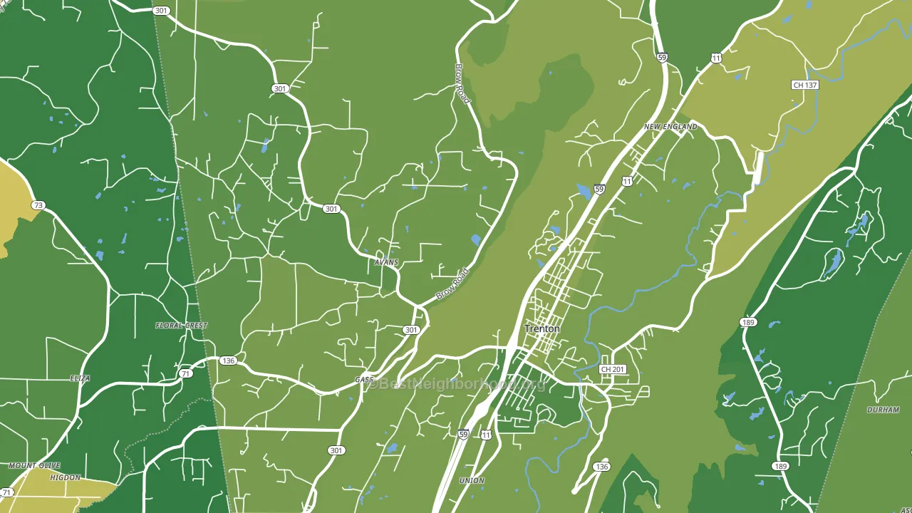 Trenton, GA block-group voter-turnout map