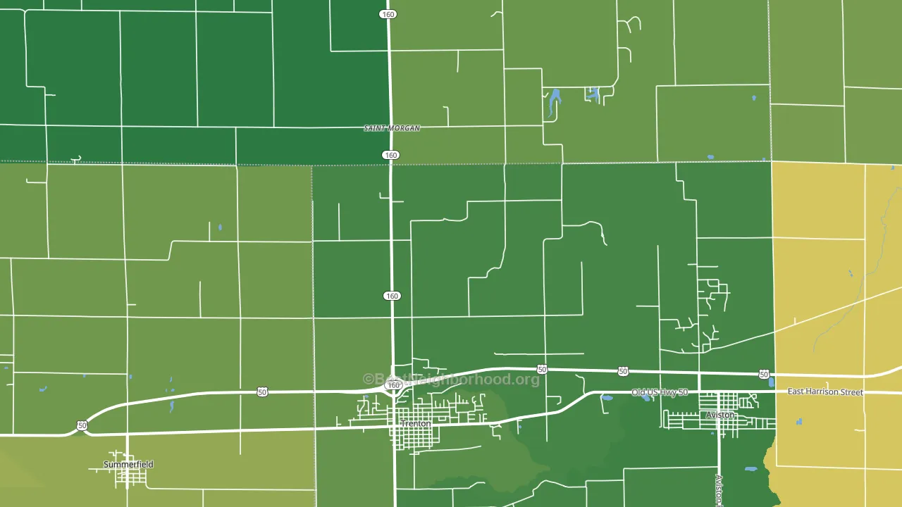 Trenton, IL block-group voter-turnout map