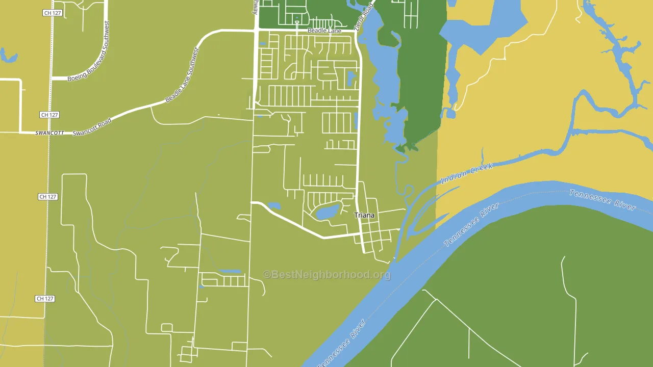Triana, AL block-group voter-turnout map