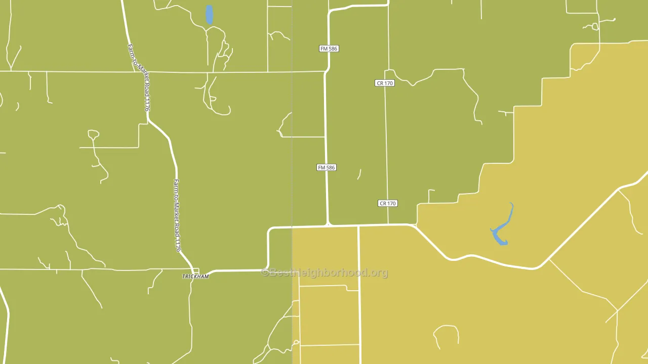 Trickham, TX block-group voter-turnout map