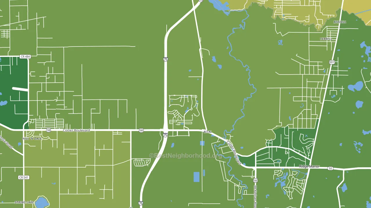 Trilby, FL block-group voter-turnout map