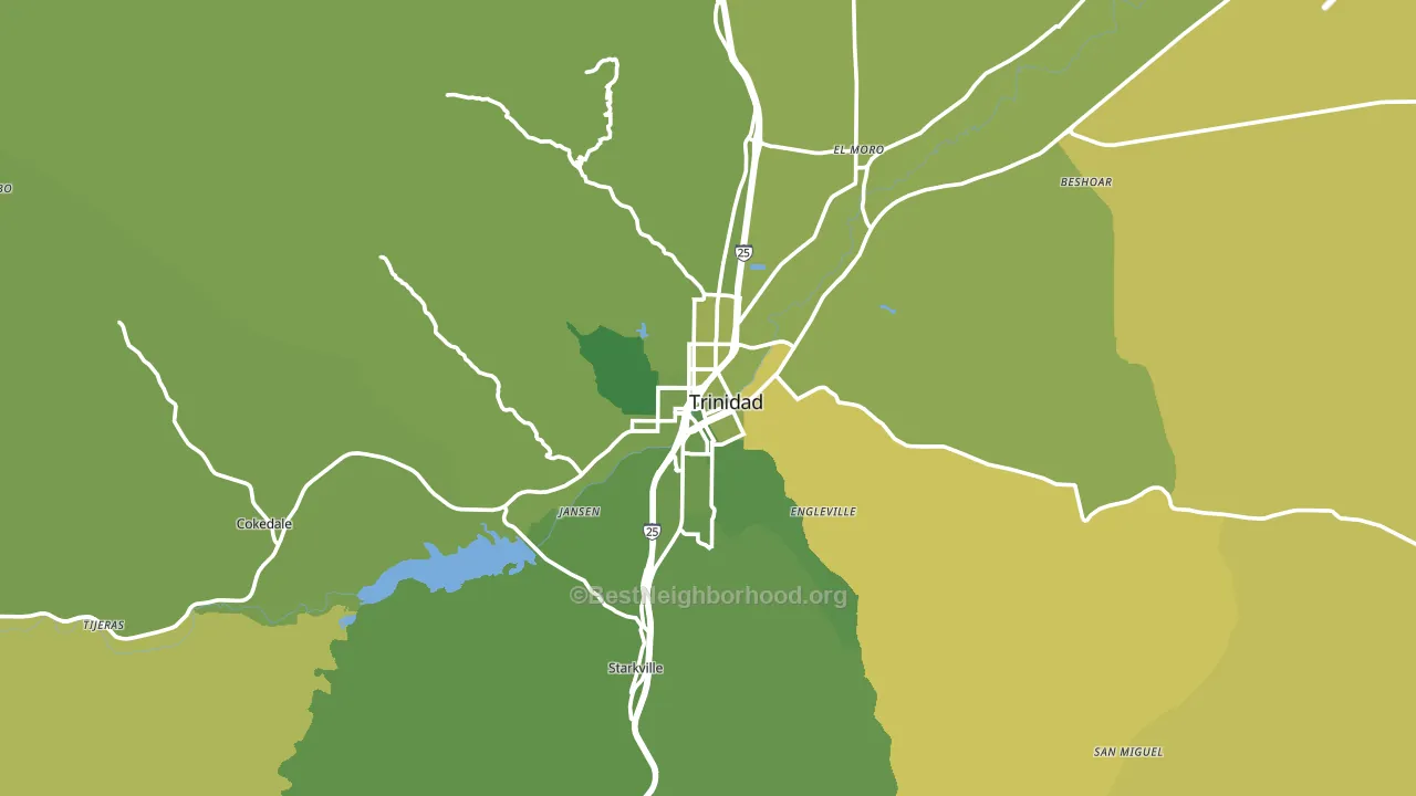 Trinidad, CO block-group voter-turnout map