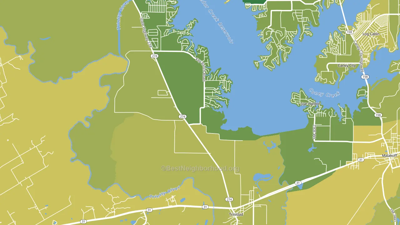 Trinidad, TX block-group voter-turnout map