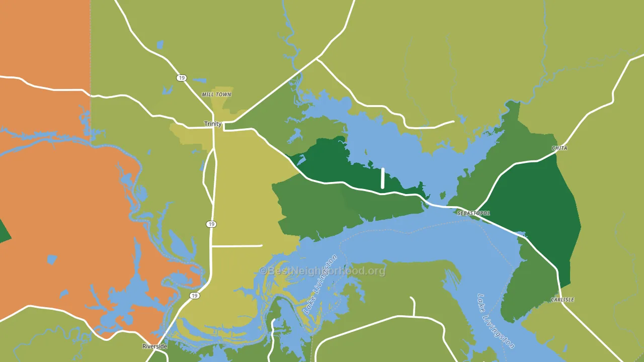Trinity, TX block-group voter-turnout map