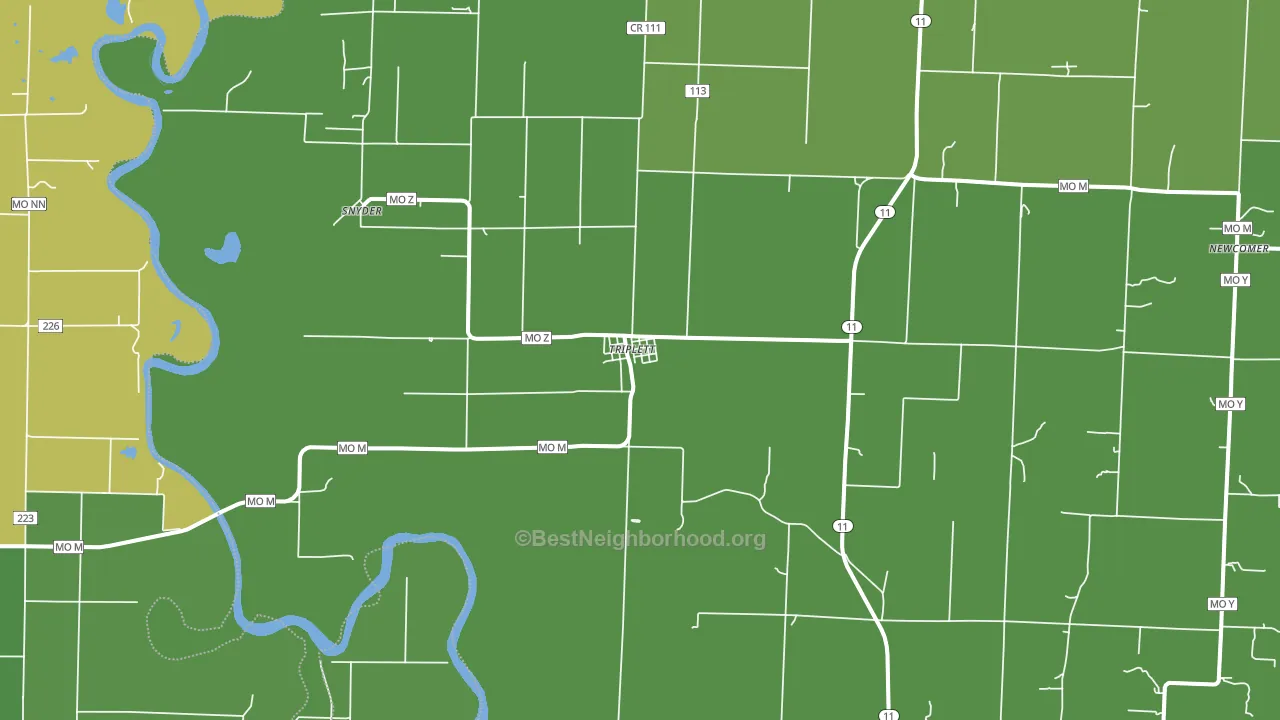Triplett, MO block-group voter-turnout map