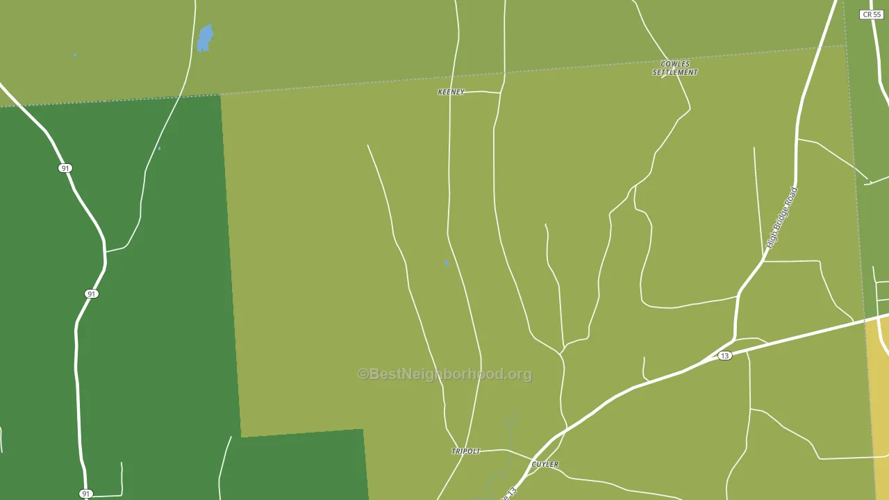 Tripoli, NY block-group voter-turnout map
