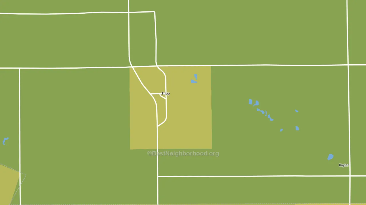 Tripp, SD block-group voter-turnout map