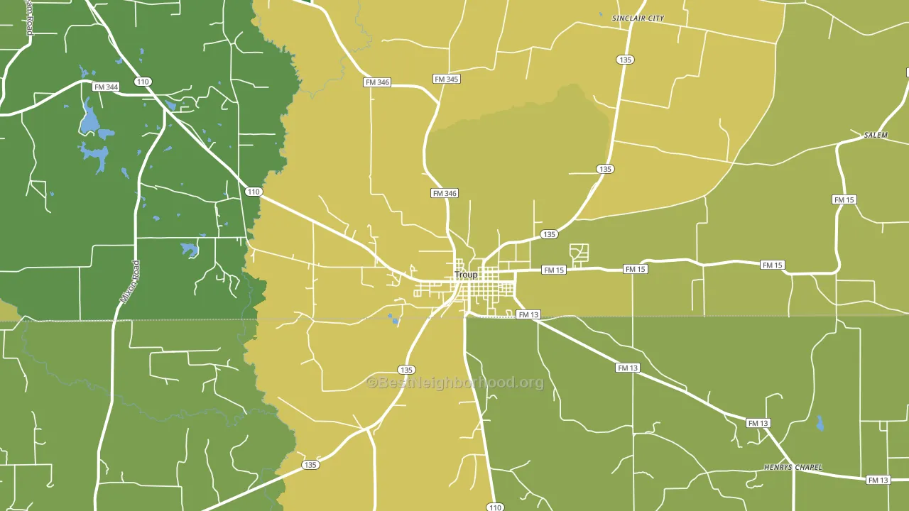 Troup, TX block-group voter-turnout map