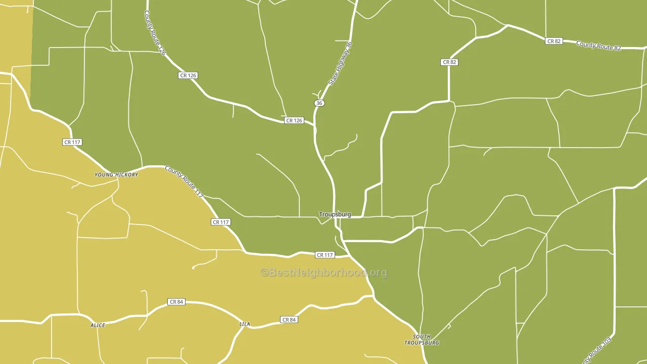 Troupsburg, NY block-group voter-turnout map