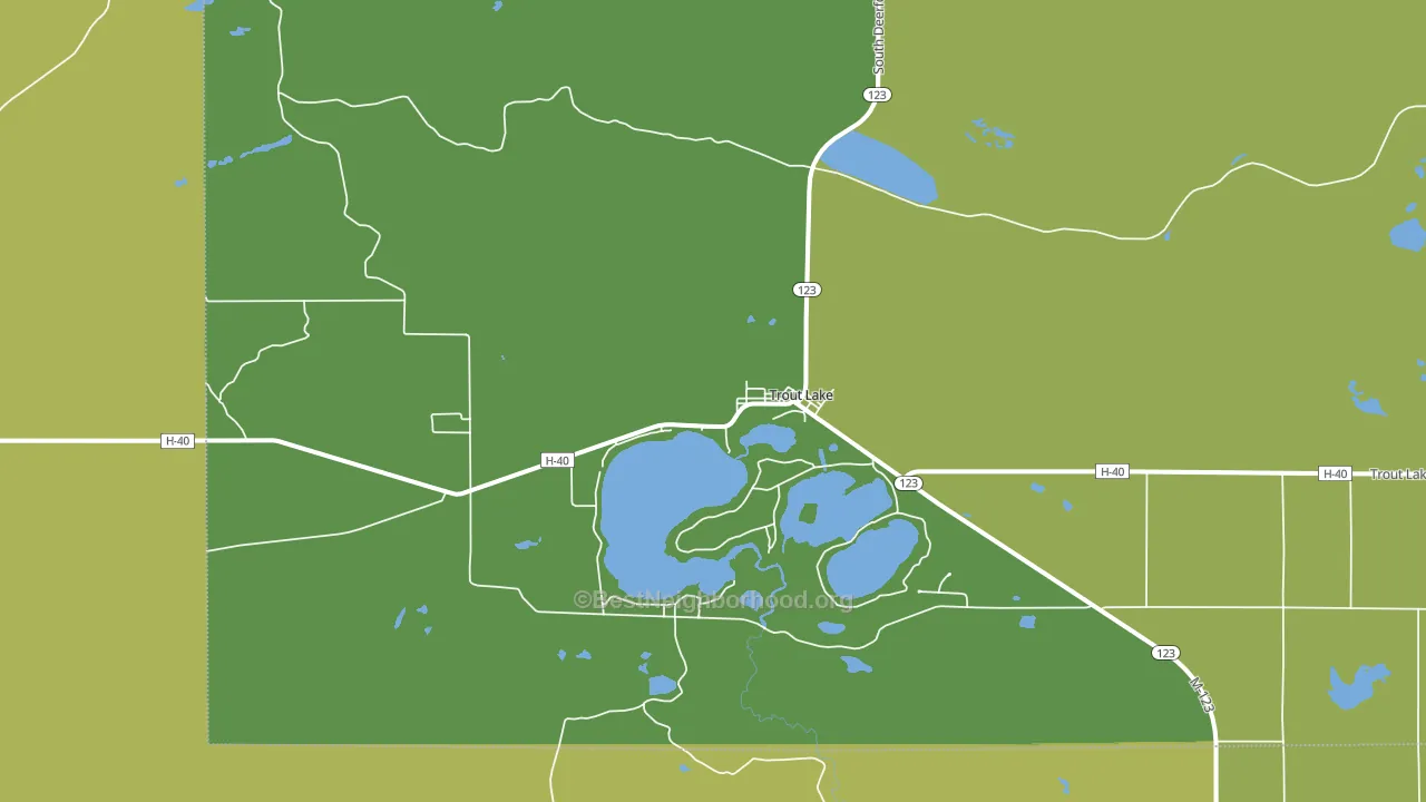 Trout Lake, MI block-group voter-turnout map