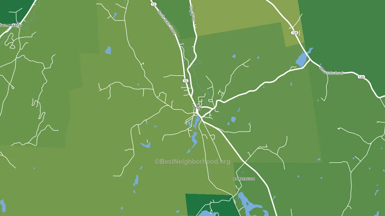 Troy, NH block-group voter-turnout map
