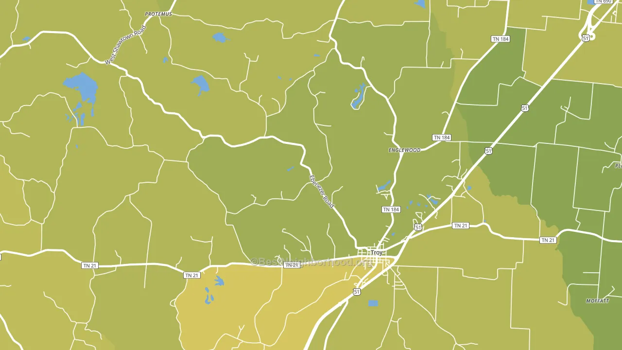 Troy, TN block-group voter-turnout map