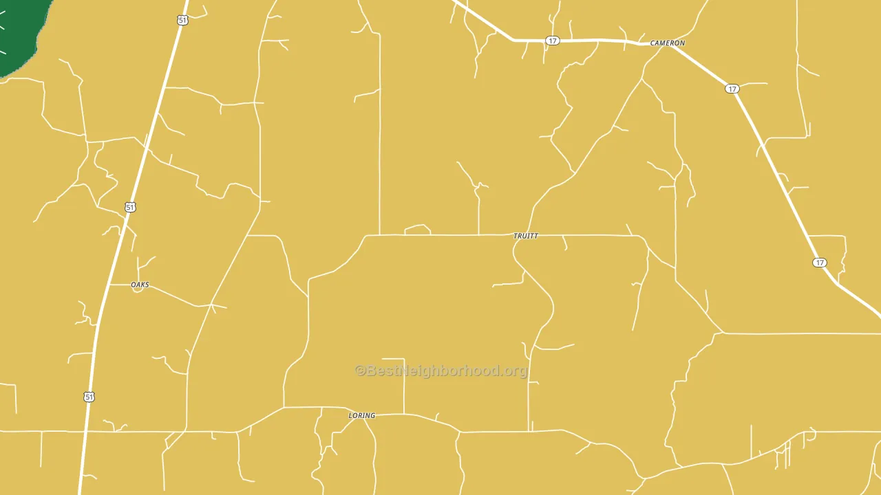 Truitt, MS block-group voter-turnout map