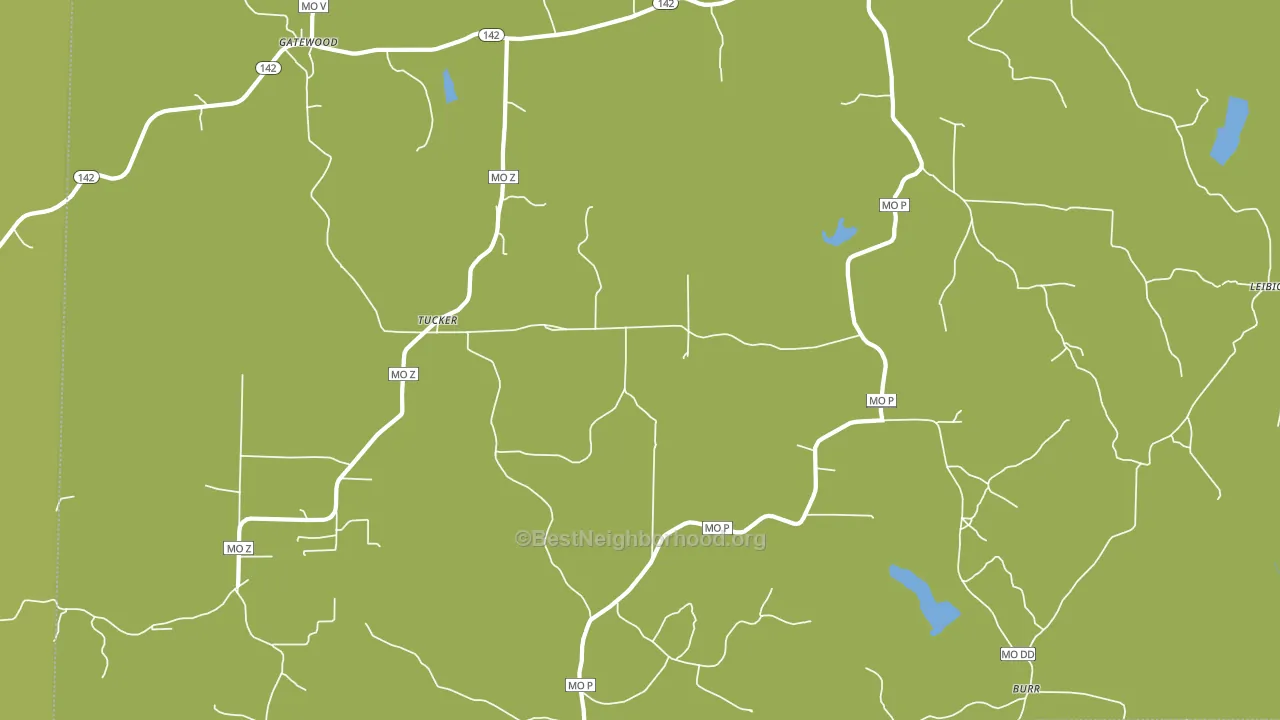 Tucker, MO block-group voter-turnout map