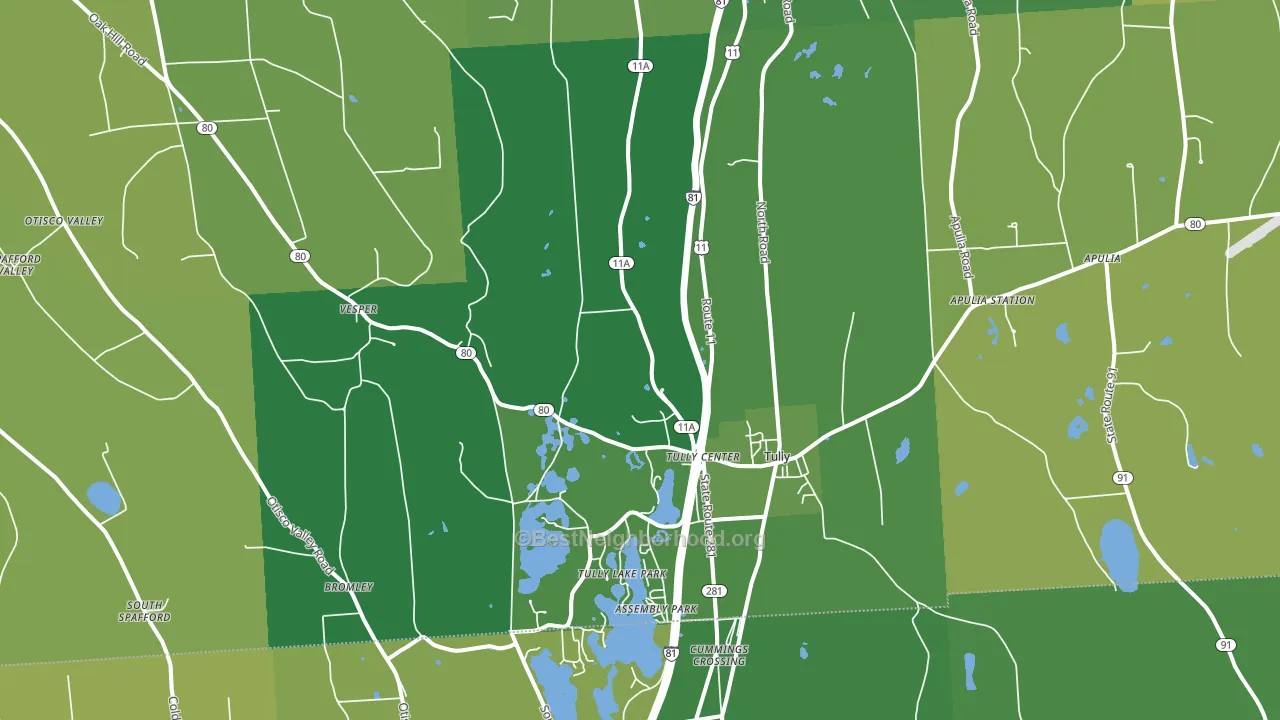 Tully, NY block-group voter-turnout map