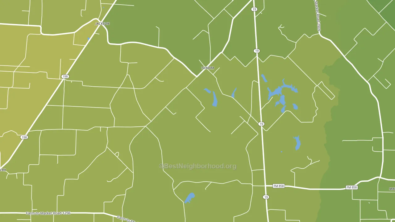 Tundra, TX block-group voter-turnout map