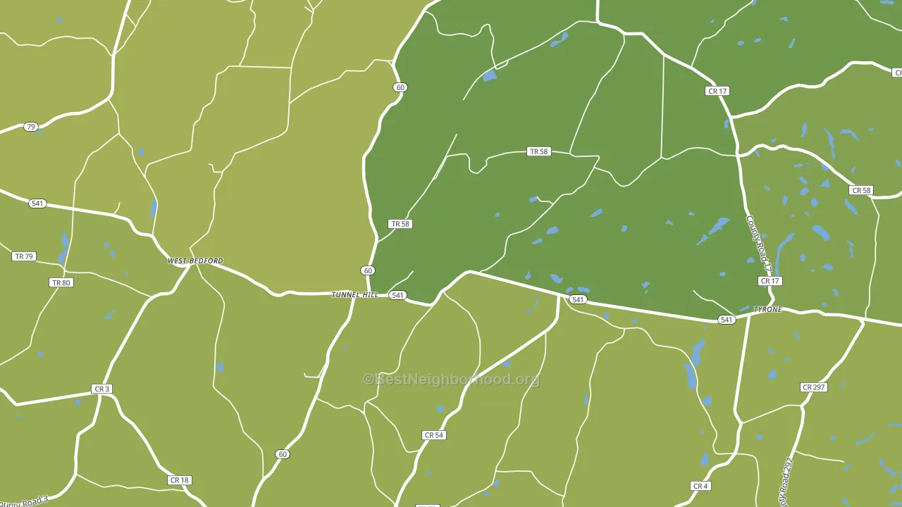 Tunnel Hill, OH block-group voter-turnout map