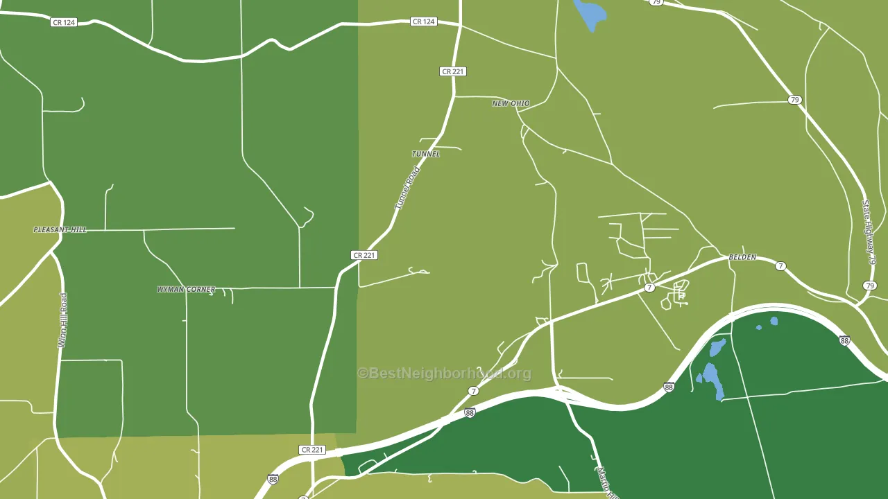 Tunnel, NY block-group voter-turnout map