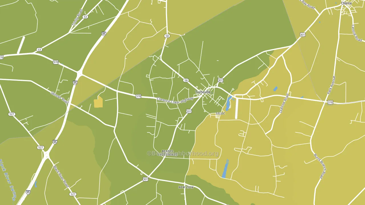 Turbeville, SC block-group voter-turnout map