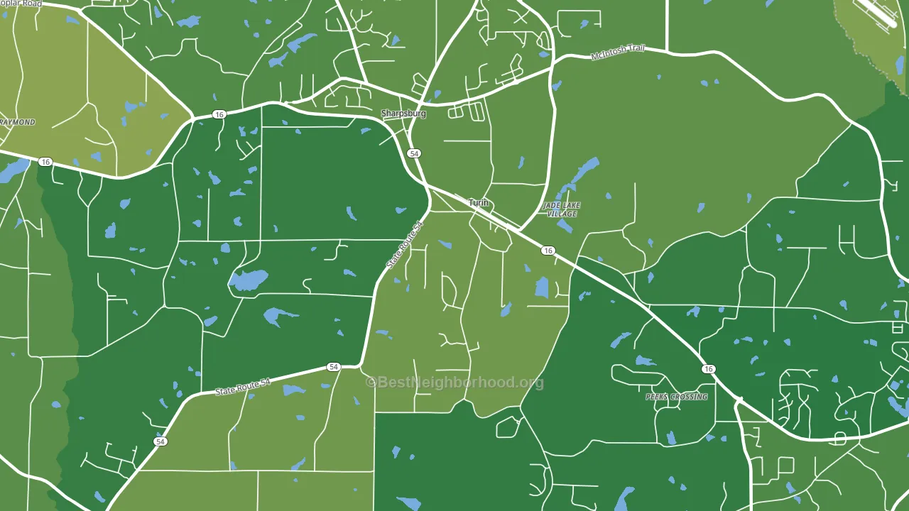 Turin, GA block-group voter-turnout map