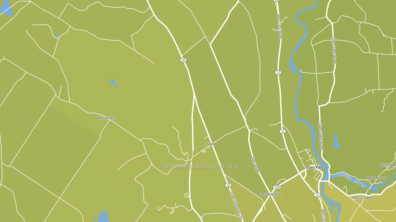 Turin, NY block-group voter-turnout map