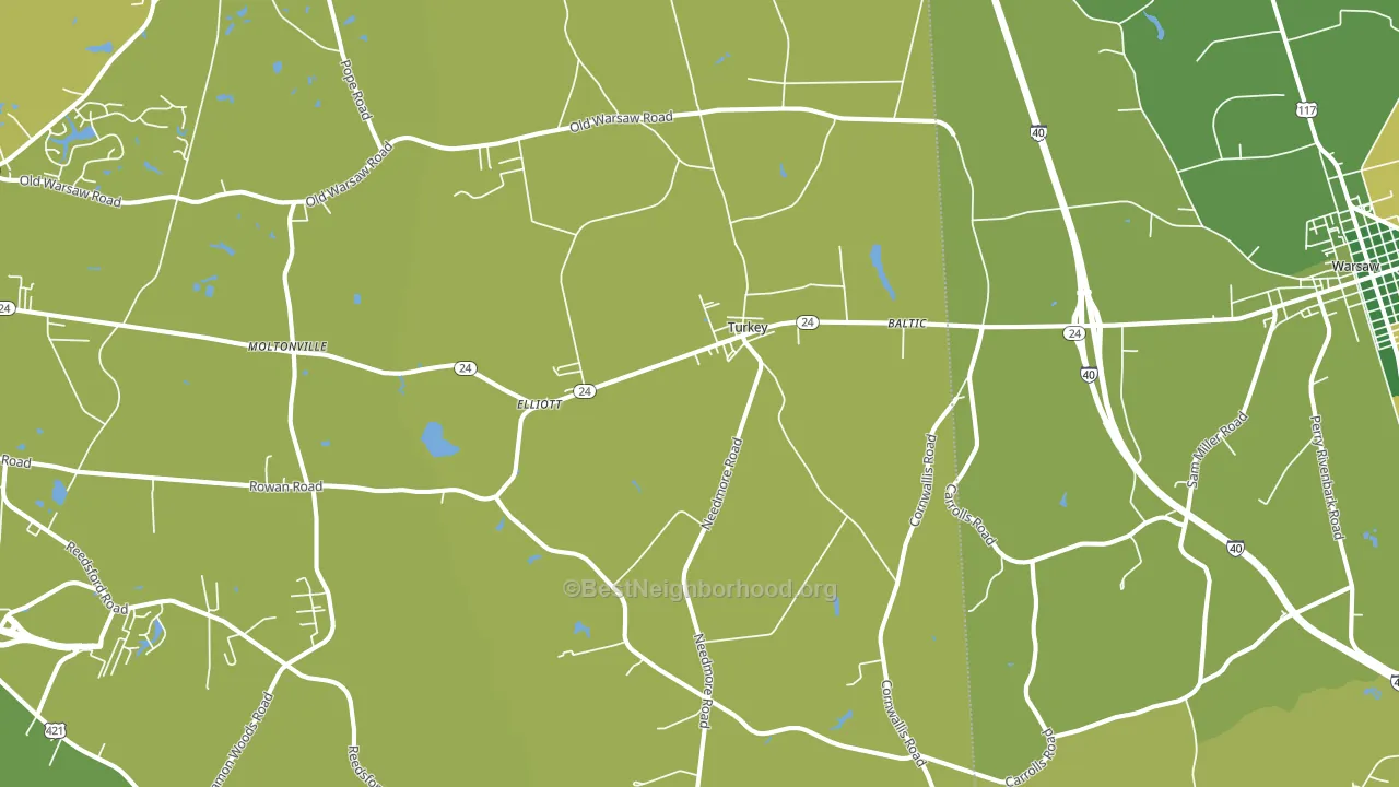 Turkey, NC block-group voter-turnout map