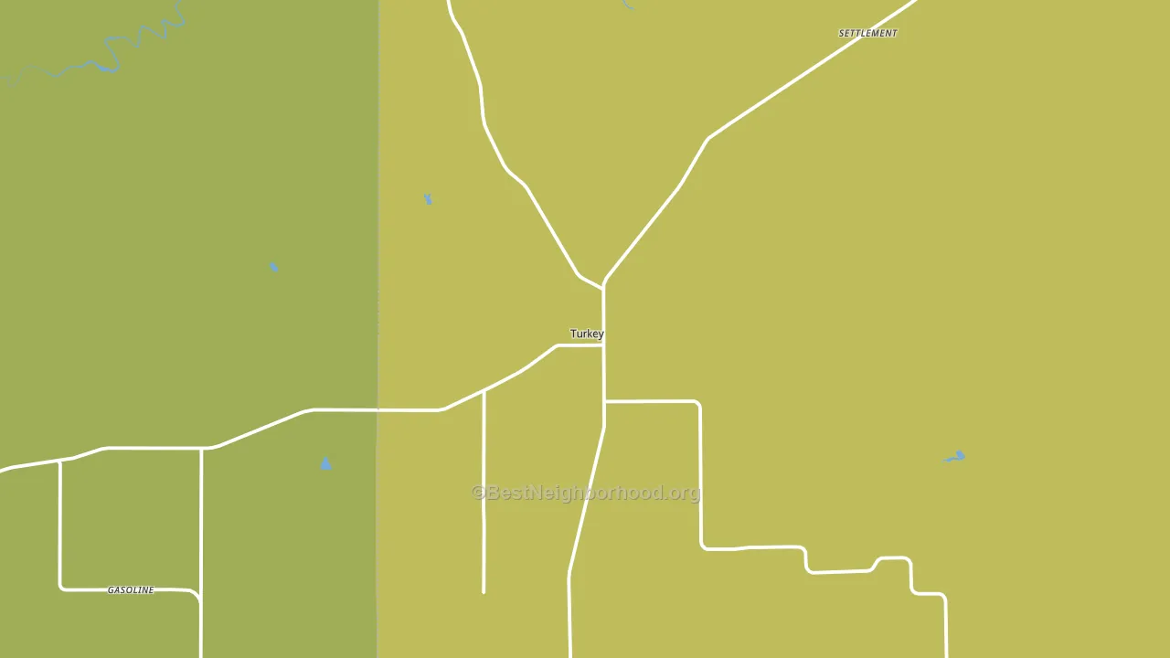 Turkey, TX block-group voter-turnout map