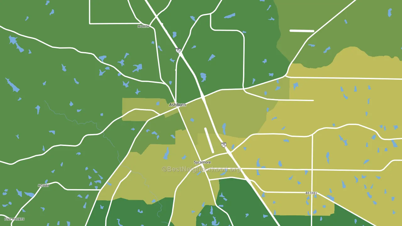 Turner County, GA block-group voter-turnout map