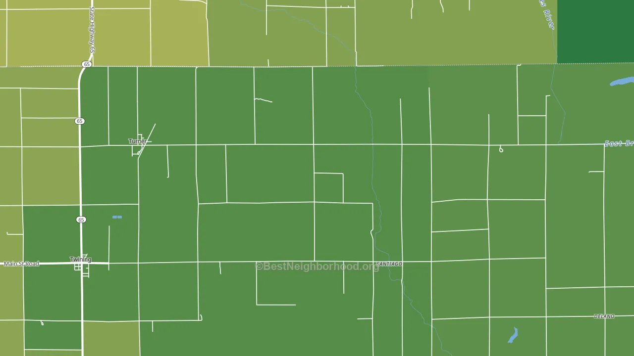Turner, MI block-group voter-turnout map