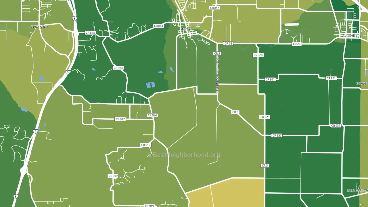 Turner, OR block-group voter-turnout map