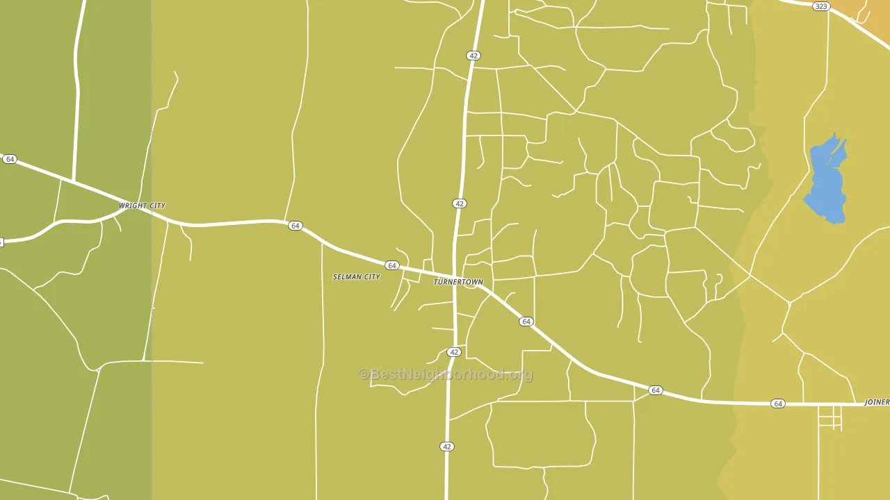 Turnertown, TX block-group voter-turnout map