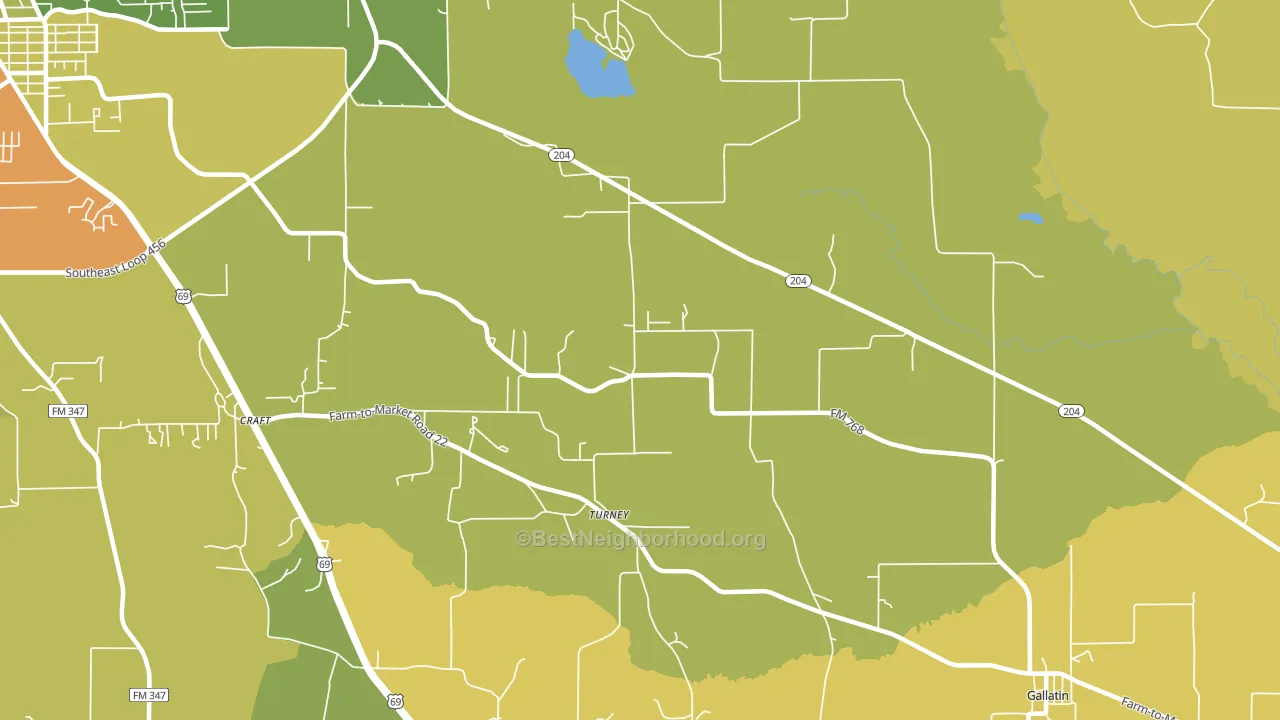 Turney, TX block-group voter-turnout map