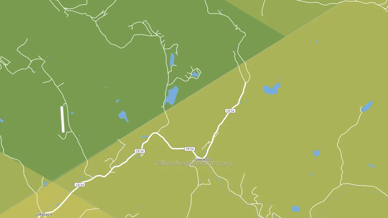 Turnwood, NY block-group voter-turnout map