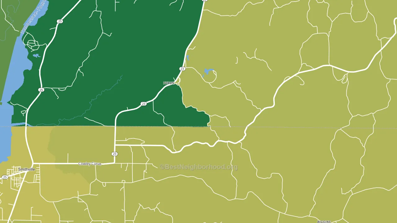Turon, MS block-group voter-turnout map