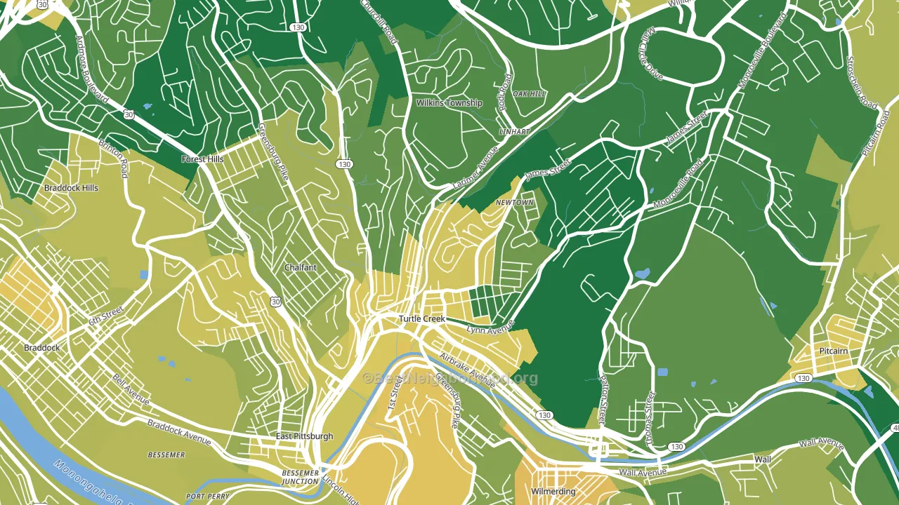 Turtle Creek, PA block-group voter-turnout map
