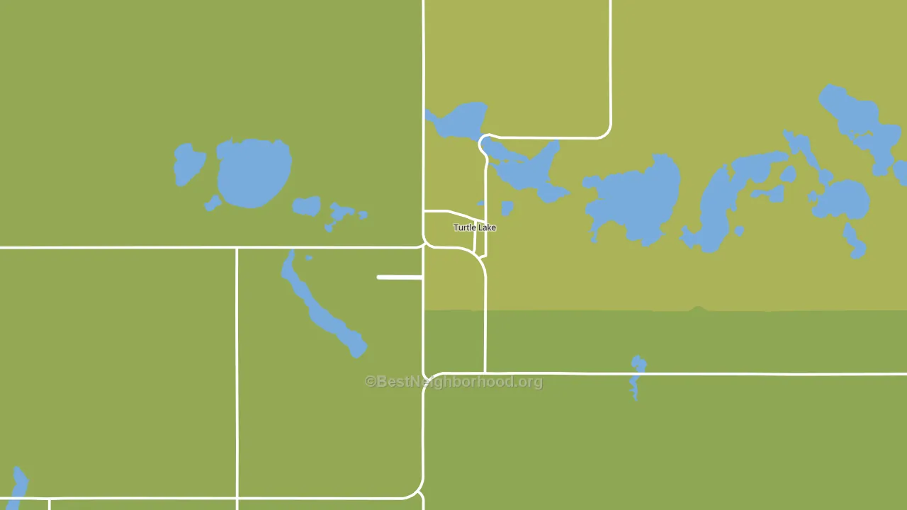 Turtle Lake, ND block-group voter-turnout map