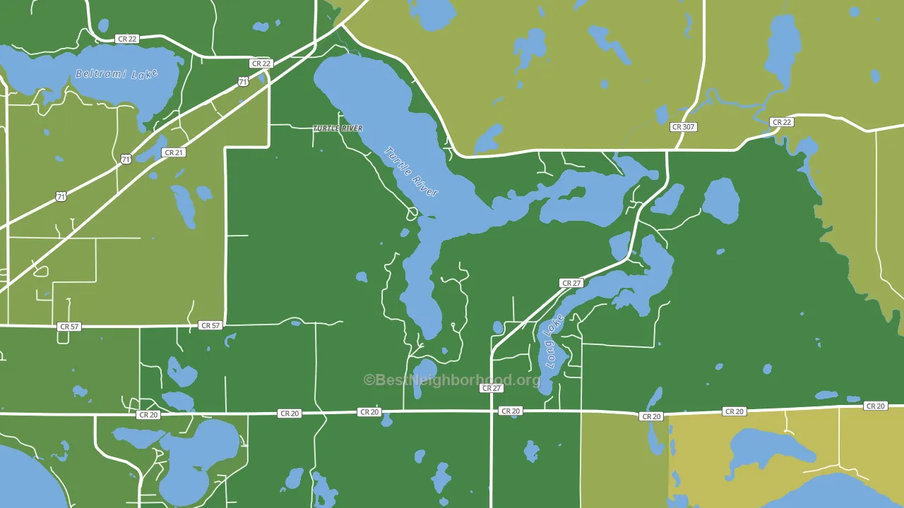 Turtle River, MN block-group voter-turnout map