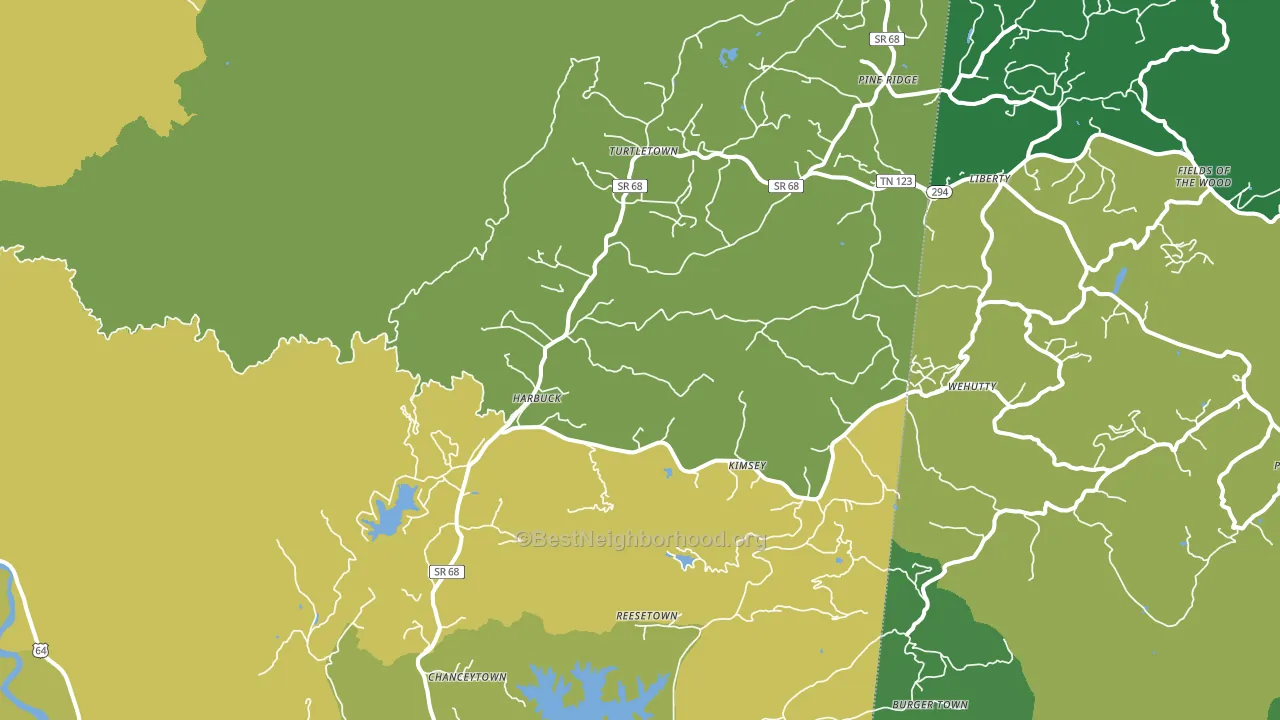 Turtletown, TN block-group voter-turnout map