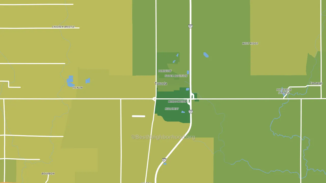 Tuscola, IL block-group voter-turnout map