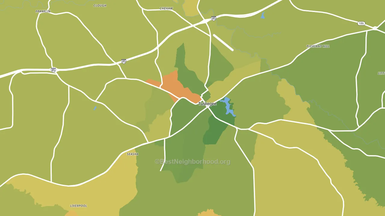 Tuskegee, AL block-group voter-turnout map