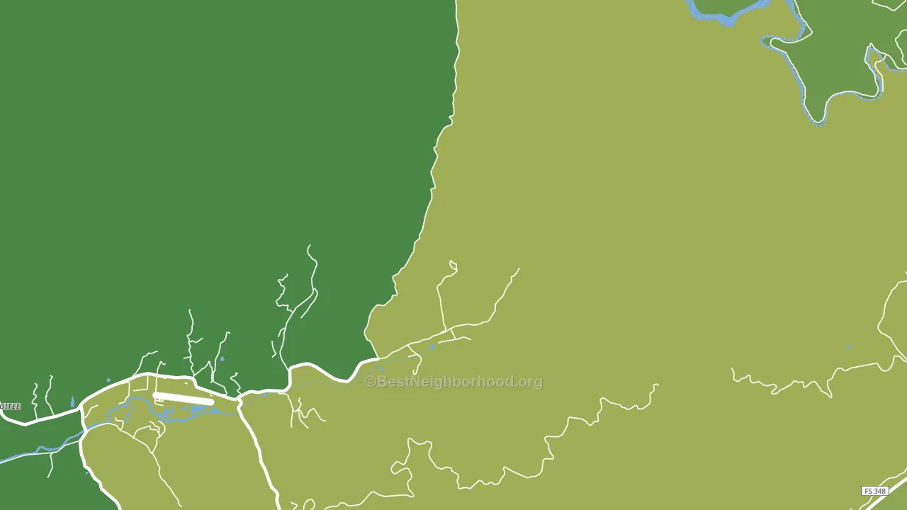 Tusquitee, NC block-group voter-turnout map