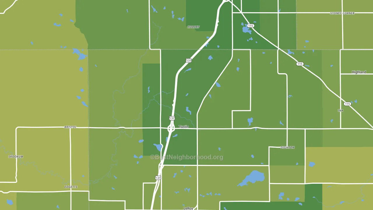 Tustin, MI block-group voter-turnout map