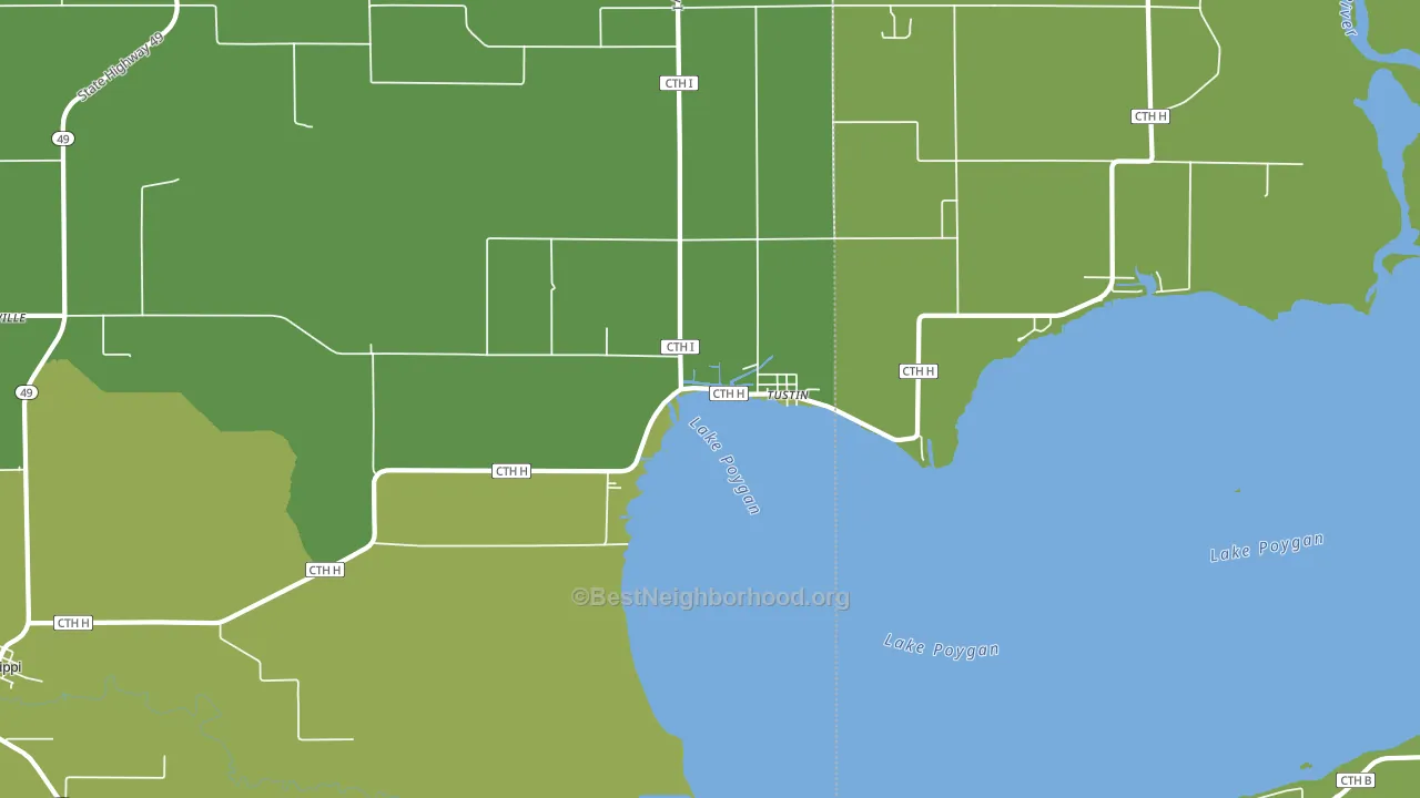 Tustin, WI block-group voter-turnout map