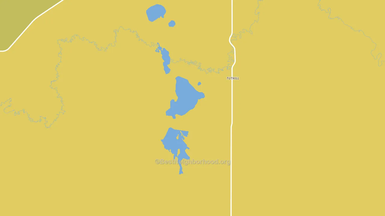Tuthill, SD block-group voter-turnout map