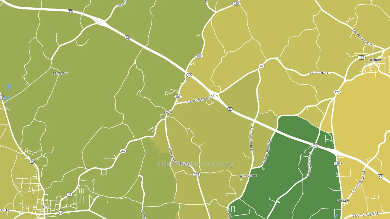 Twin, AL block-group voter-turnout map
