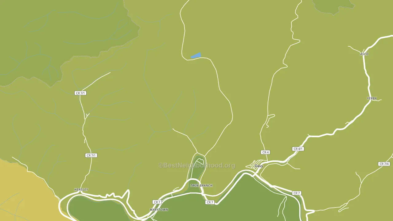 Twin Branch, WV block-group voter-turnout map