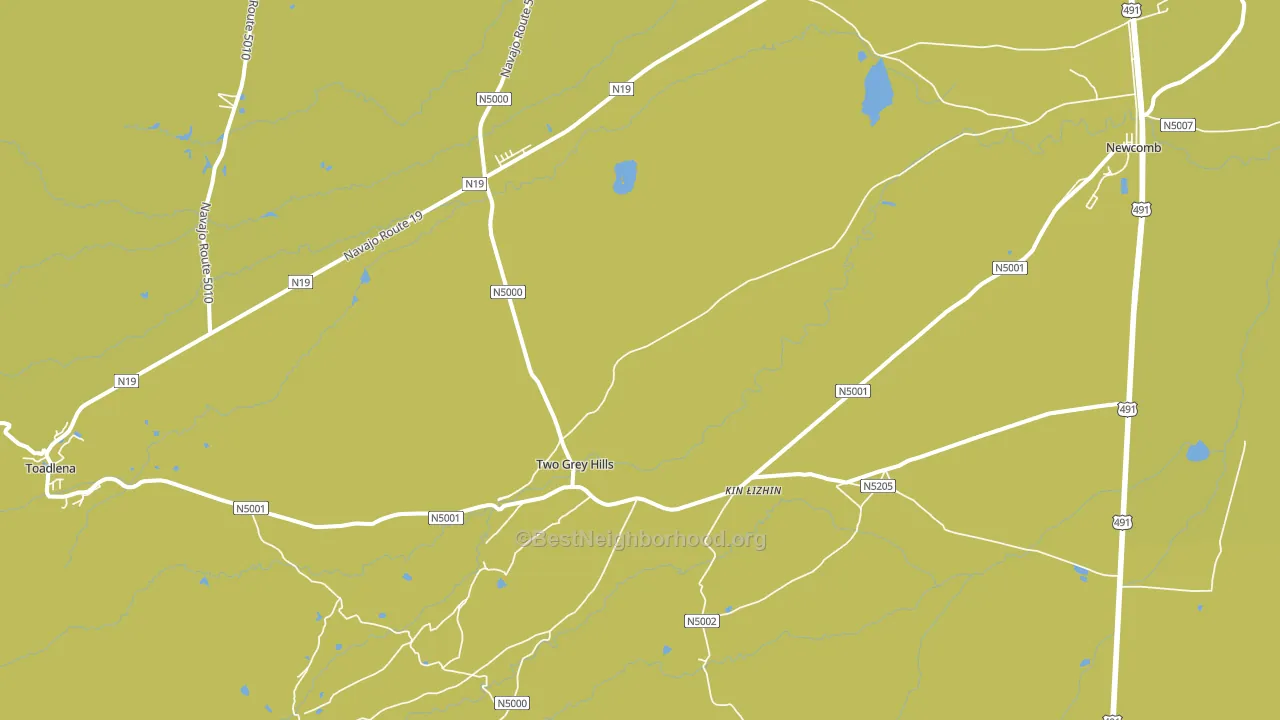 Two Grey Hills, NM block-group voter-turnout map