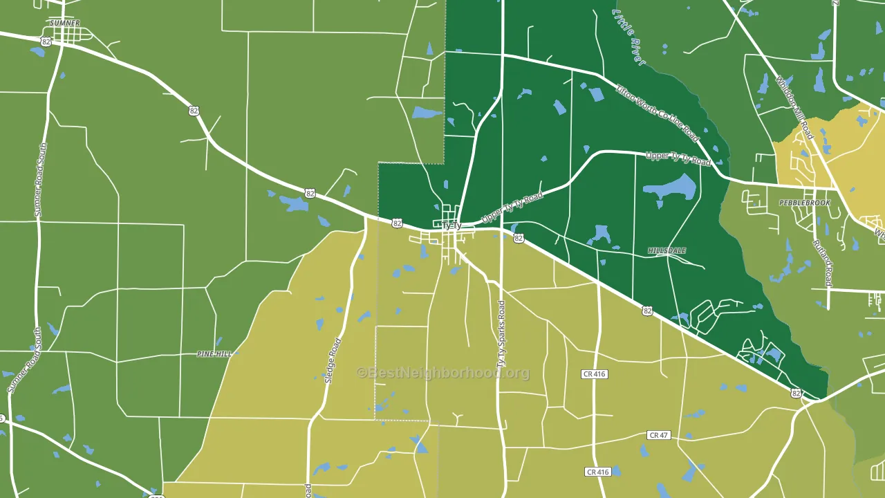 Ty Ty, GA block-group voter-turnout map