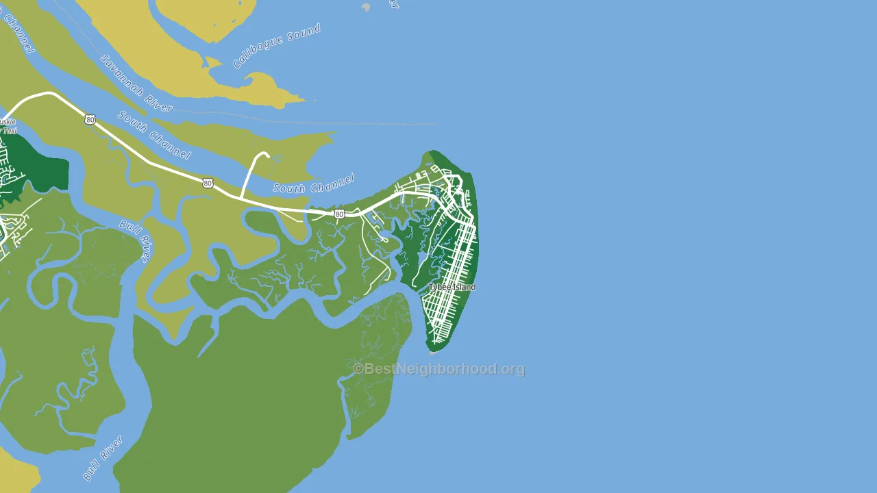 Tybee Island, GA block-group voter-turnout map